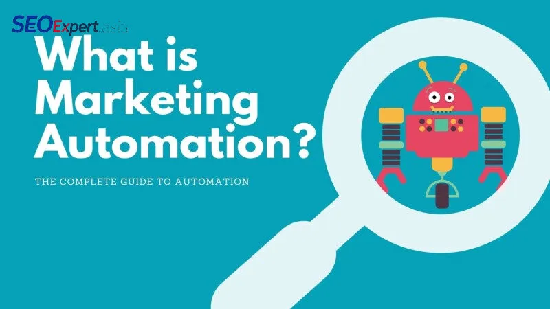 What is a .NET Marketing Automation Developer?